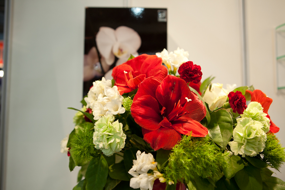 StomatEXPO – 2012