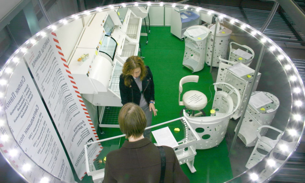MEDVIN: StomatSalon, 2013